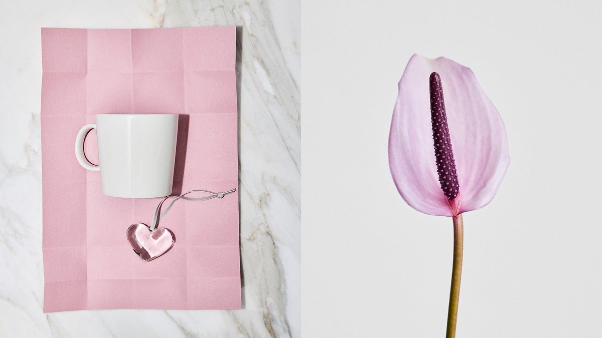 Valentine's day gifts