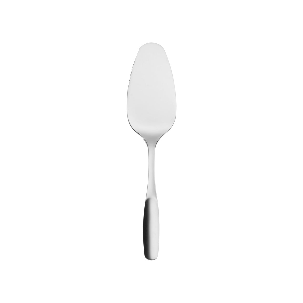 Savonia cake lifter