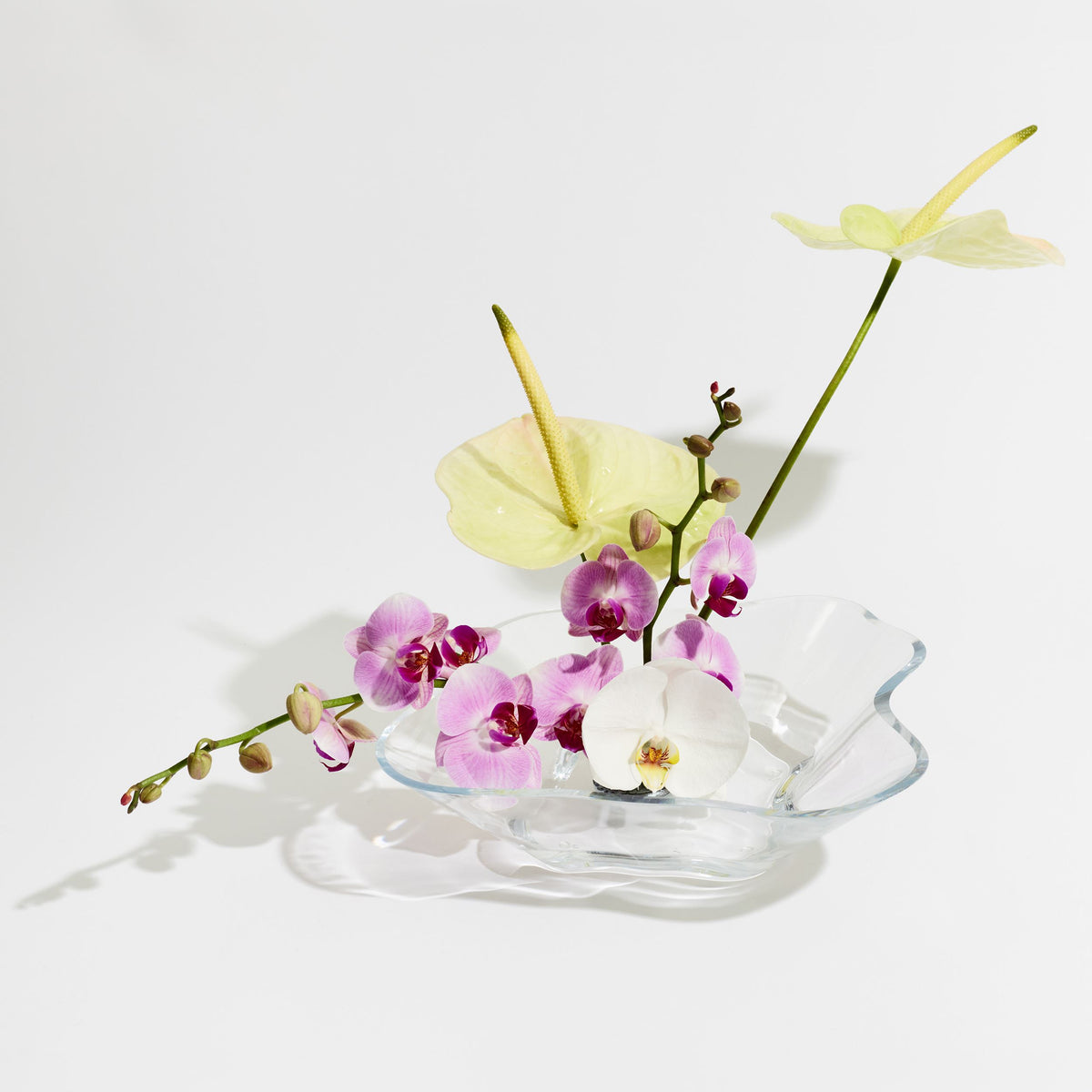 Alvar Aalto Collection Blumenschale 279x75mm Birne - Aalto Flower bowl 279x75mm clear