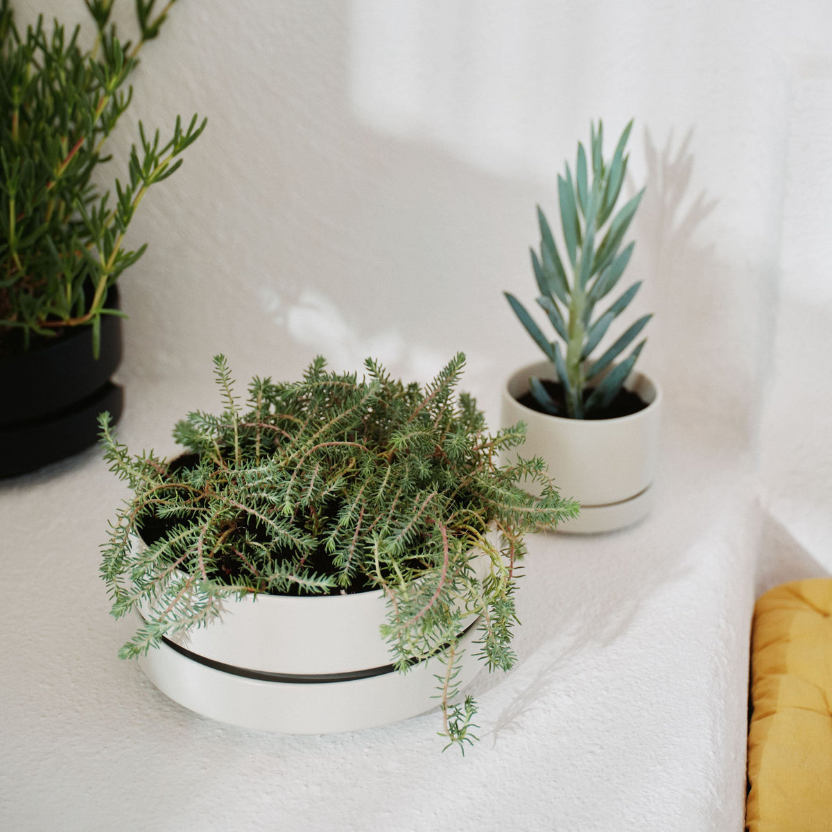 Arabia kukkaruukku SN 22 matala matta valkoinen - Arabia plant pot SN 22cm low white matt