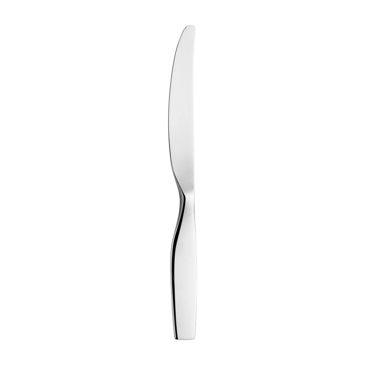 Citterio 98 Tafelmesser Hochglanz - Citterio 98 dinner knife mirror