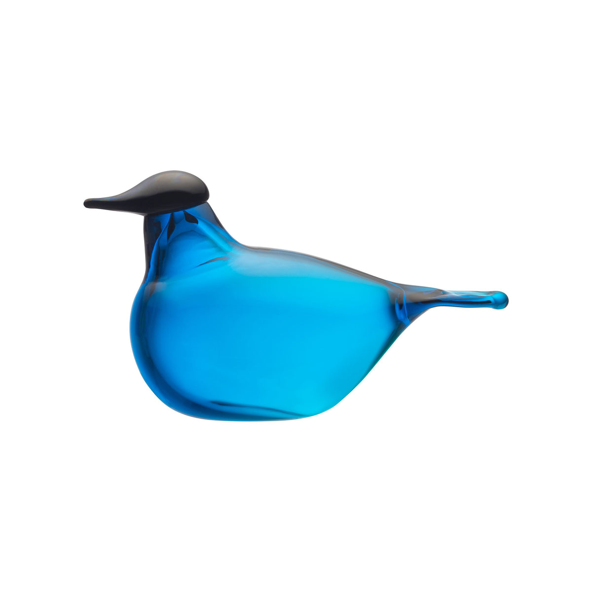 Chiffchaff 130x80mm turquoise - BBT Chiffchaff 130x80mm turquoise