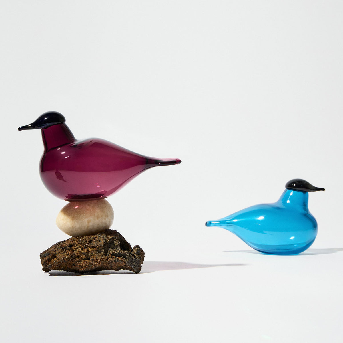 Zilpzalp 130 x 80mm Dunkellila - BBT Chiffchaff 130x80mm dark lilac