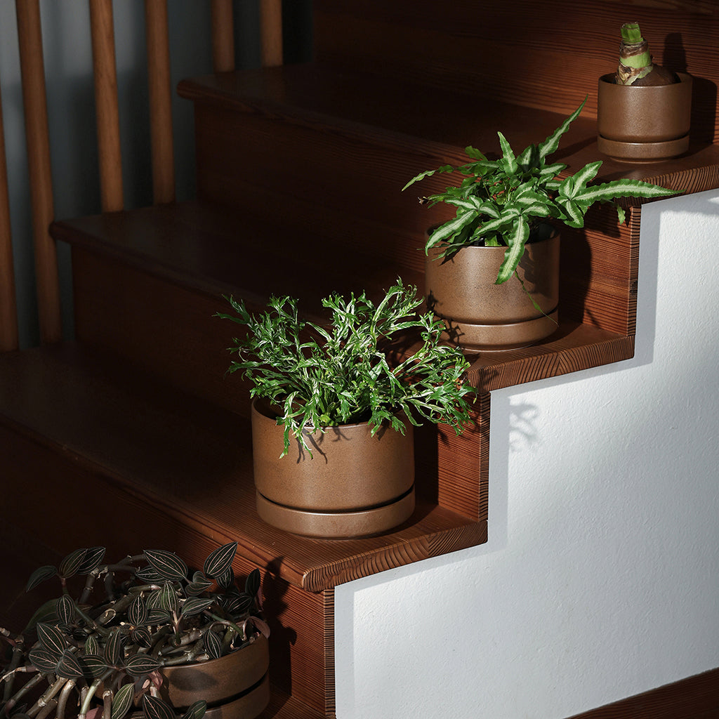 Decorative